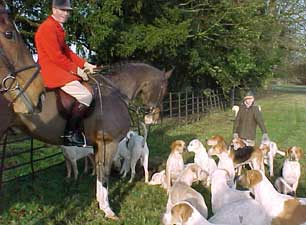 York & Ainsty South Hunt