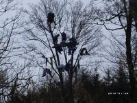 Resisting bailiffs climbing into top branches at Mainshill