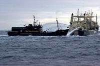 Steve Irwin & Bob Baker confront whalers