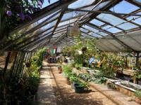 Grow Heathrow- after