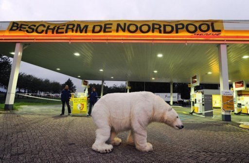 Shell Netherlands, polar bear at gas station