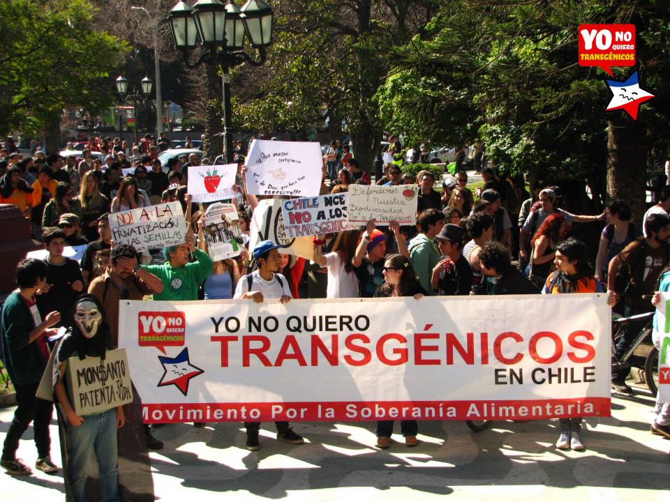 Activists prepare themselves for more waves of direct action against biotech labs. (photo credit: Icky Pelaez)