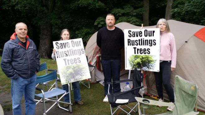 Save Sheffield Trees & Smithy Woods – campaign update